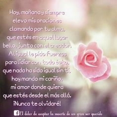 Poemas de Duelo: Frases y Versos para Recordar a un Ser Querido Fallecido poemas para recordar a un ser querido fallecido